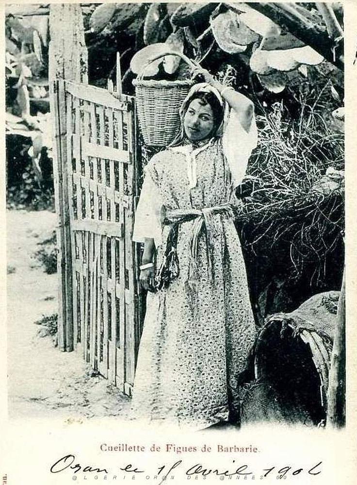 Images d'Algerie 153.jpg